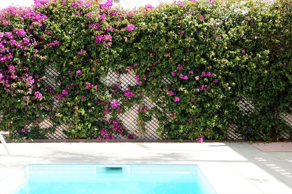 Casa Molinar Villa Palma de Mallorca Exterior photo